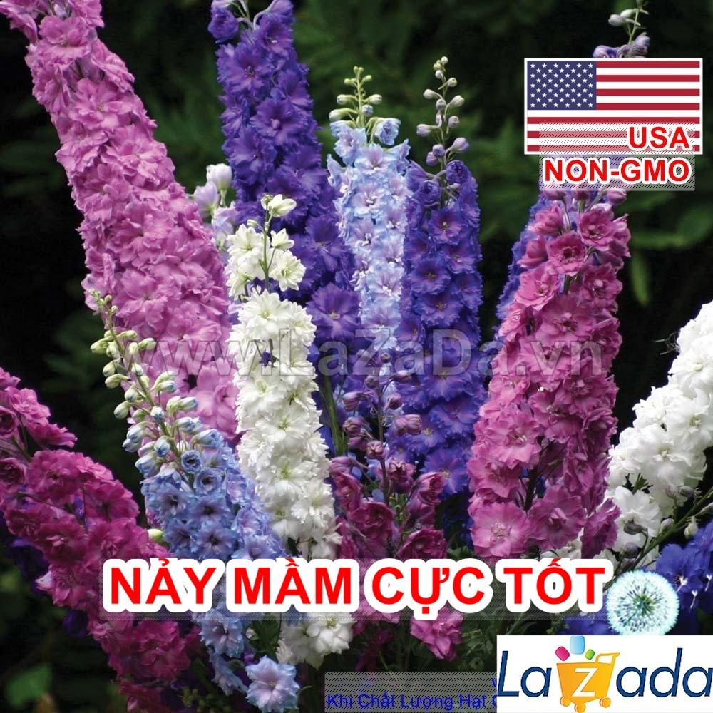 50h Hạt Giống Hoa Phi Yến Mix Màu (TLB3| -KD: B15*V45*M177)