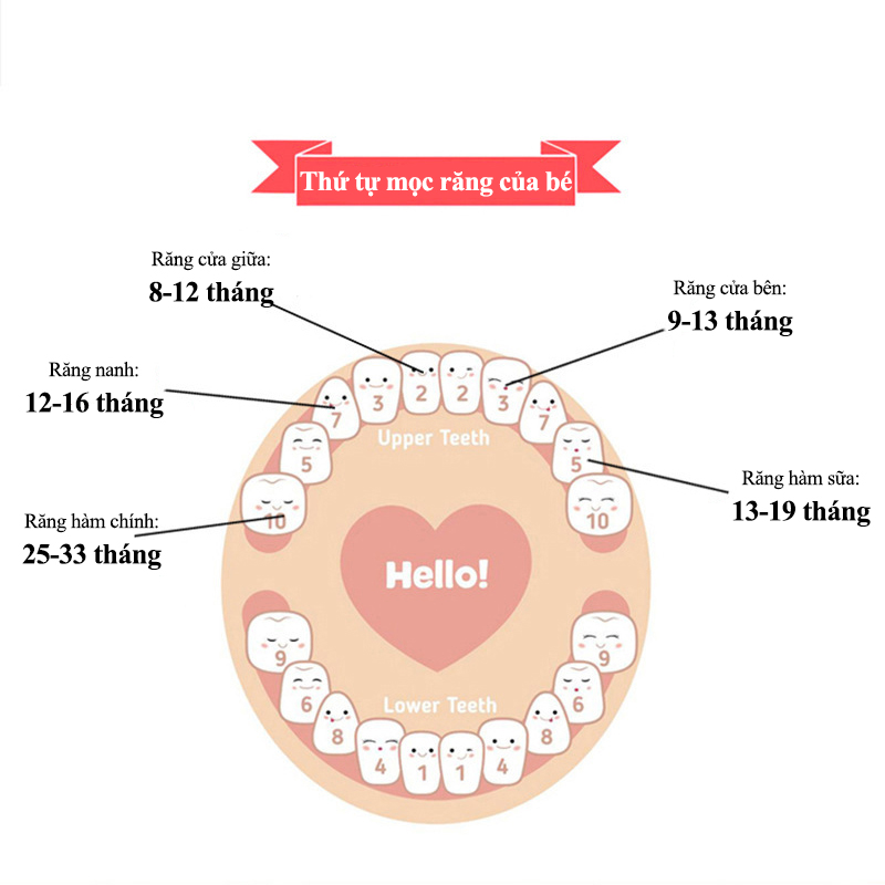 Gặm nướu hình hươu hình chuối