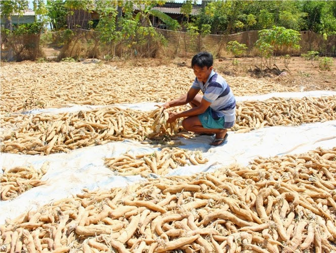 0,5kg củ cải muối