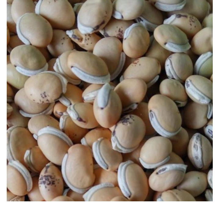 đậu ván nấu chè 1kg