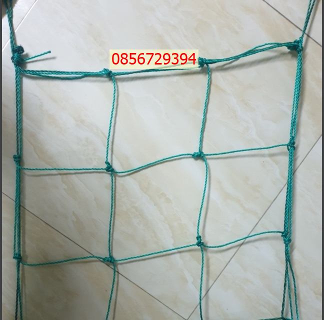lưới trồng bầu bí, lưới mướp, Lưới giàn leo ( 2m x 5m)