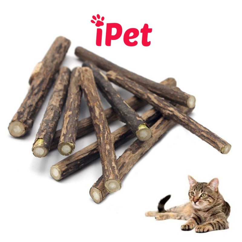 [HCM]Cây Gỗ Catnip Bạc Hà Cho Mèo Gặm Trắng Răng - iPet Shop