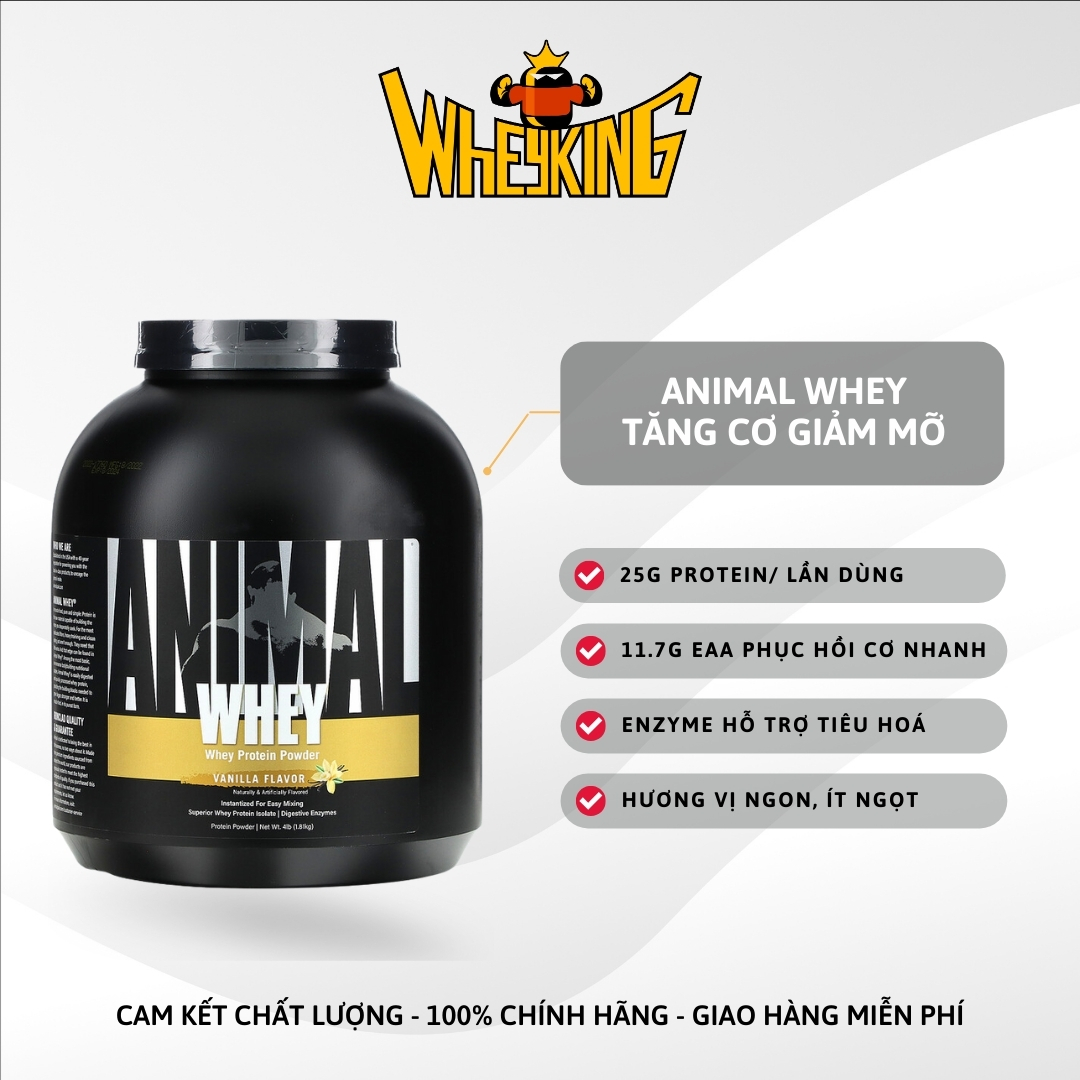 Animal Whey protein tăng cơ hiệu quả
