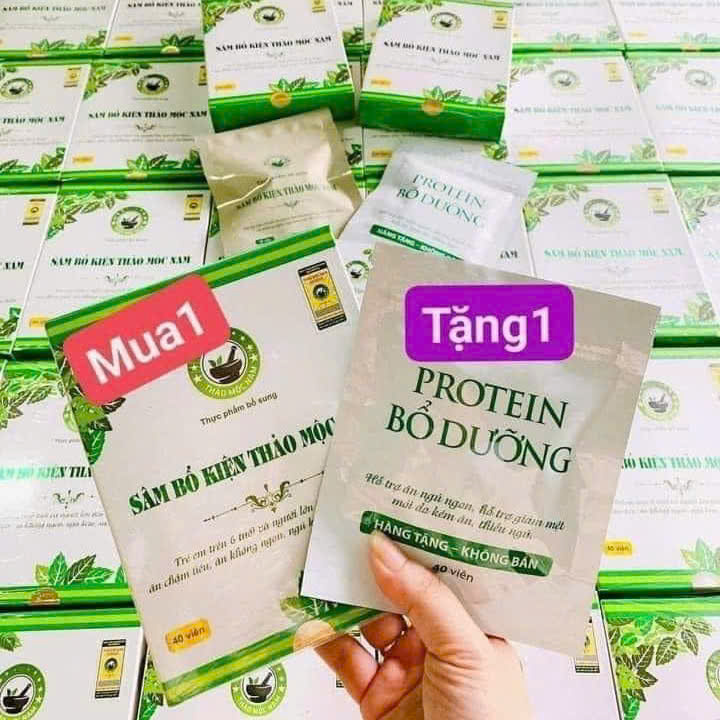 Sâm Bổ Kiện Thảo Mộc Nam - Mẫu Mới Tặng PROTEIN