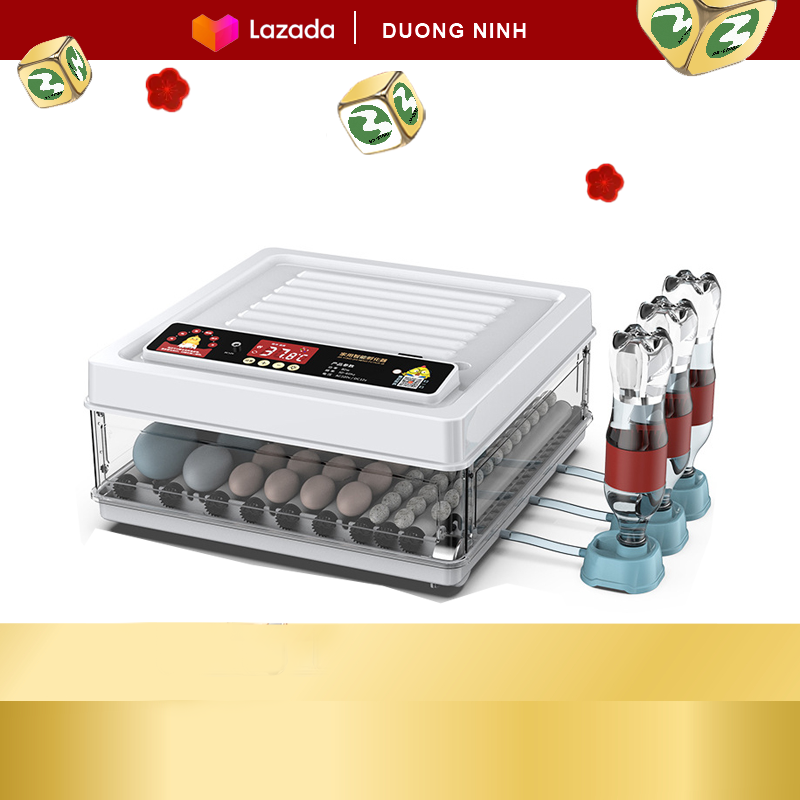 Mini automatic egg incubator with water pump