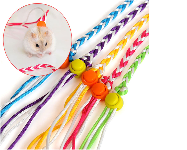 Dây dắt hamster nhiều màu