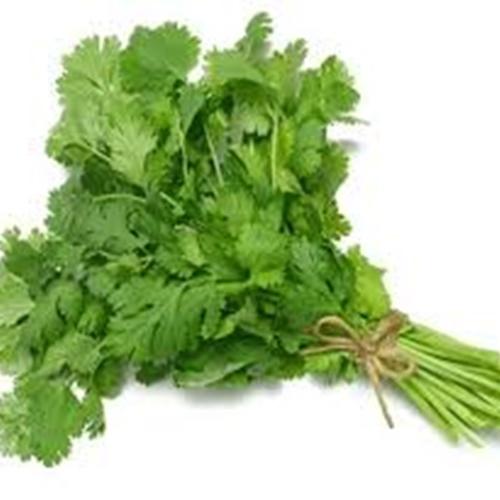 Hạt Giống Rau Mùi Chịu Nhiệt F1. Túi 30 Gram - Dễ Trồng - Chất Lượng Cao. Dinh Dưỡng Cao.