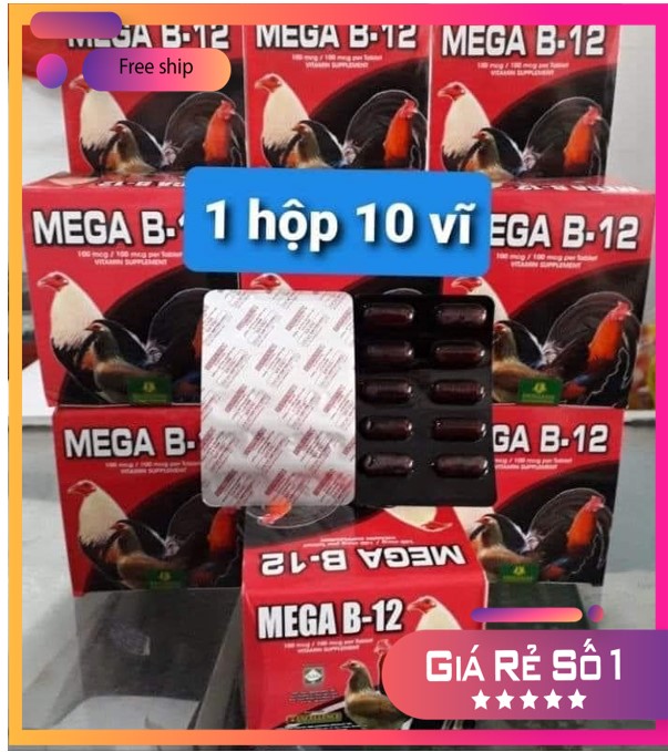 1 vỉ mega b12 dinh dưỡng cho gà đá mau lên nước máu