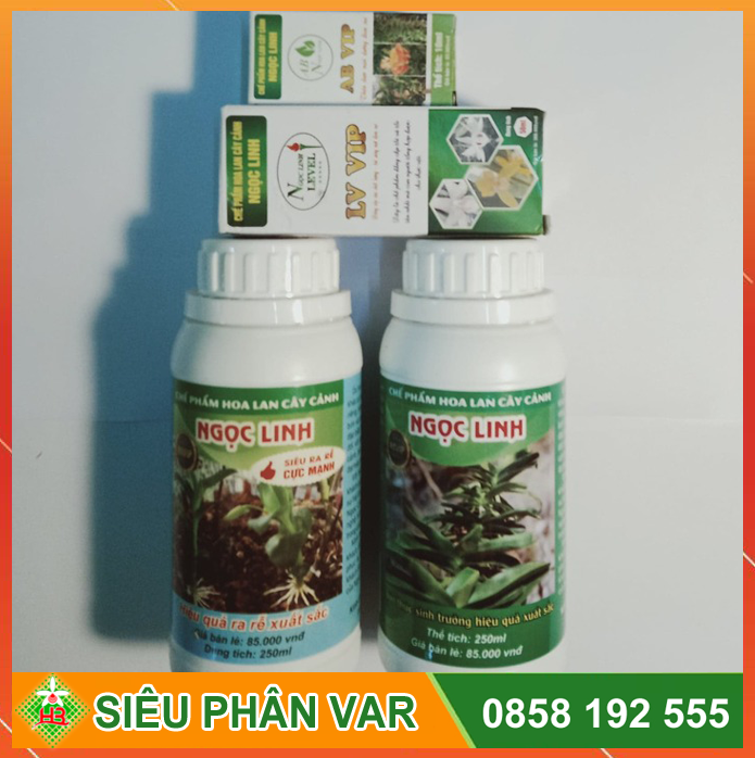 Bộ chăm var Chế Phẩm Ngọc Linh