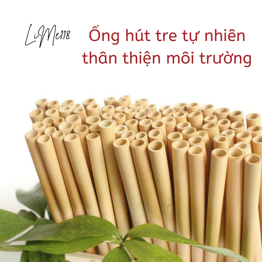 Ống hút tre tự nhiên loại 1 tái sử dụng bảo vệ môi trường (Bamboo straw) - cọ rửa - túi vải đựng-LiMe118