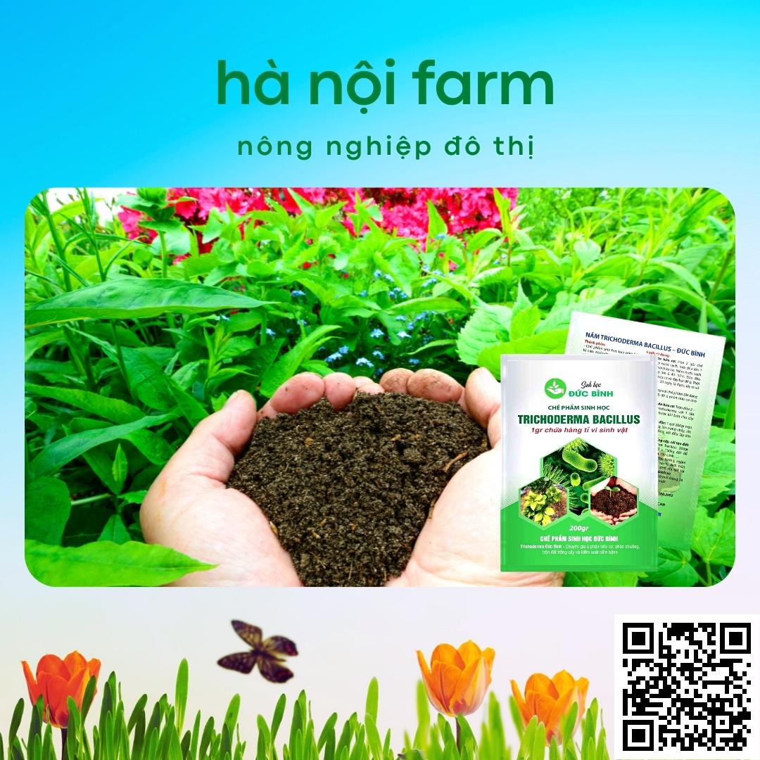 Men ủ sinh học TRICHODERMA BACILILUS gói 200g, tricho đức bình