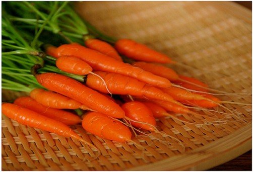Hạt giống Cà Rốt Mini
