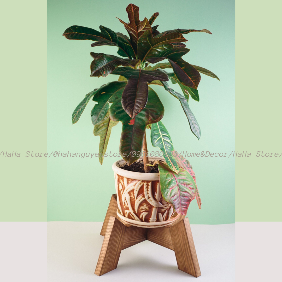 Đôn gỗ để cây cảnh Kệ gỗ Decor chậu cây CCG09