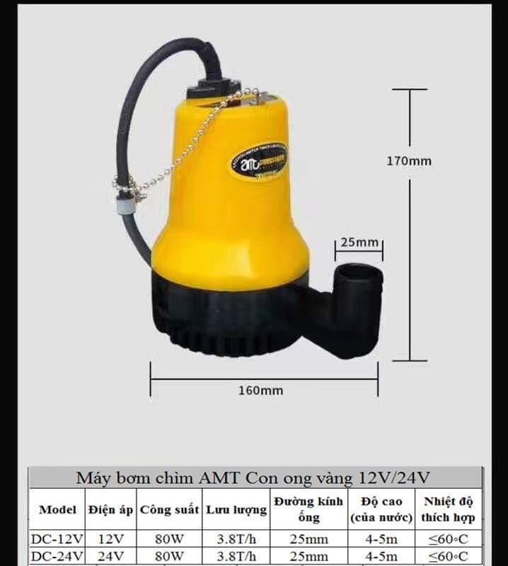Bơm Chìm Vàng Lớn 12V