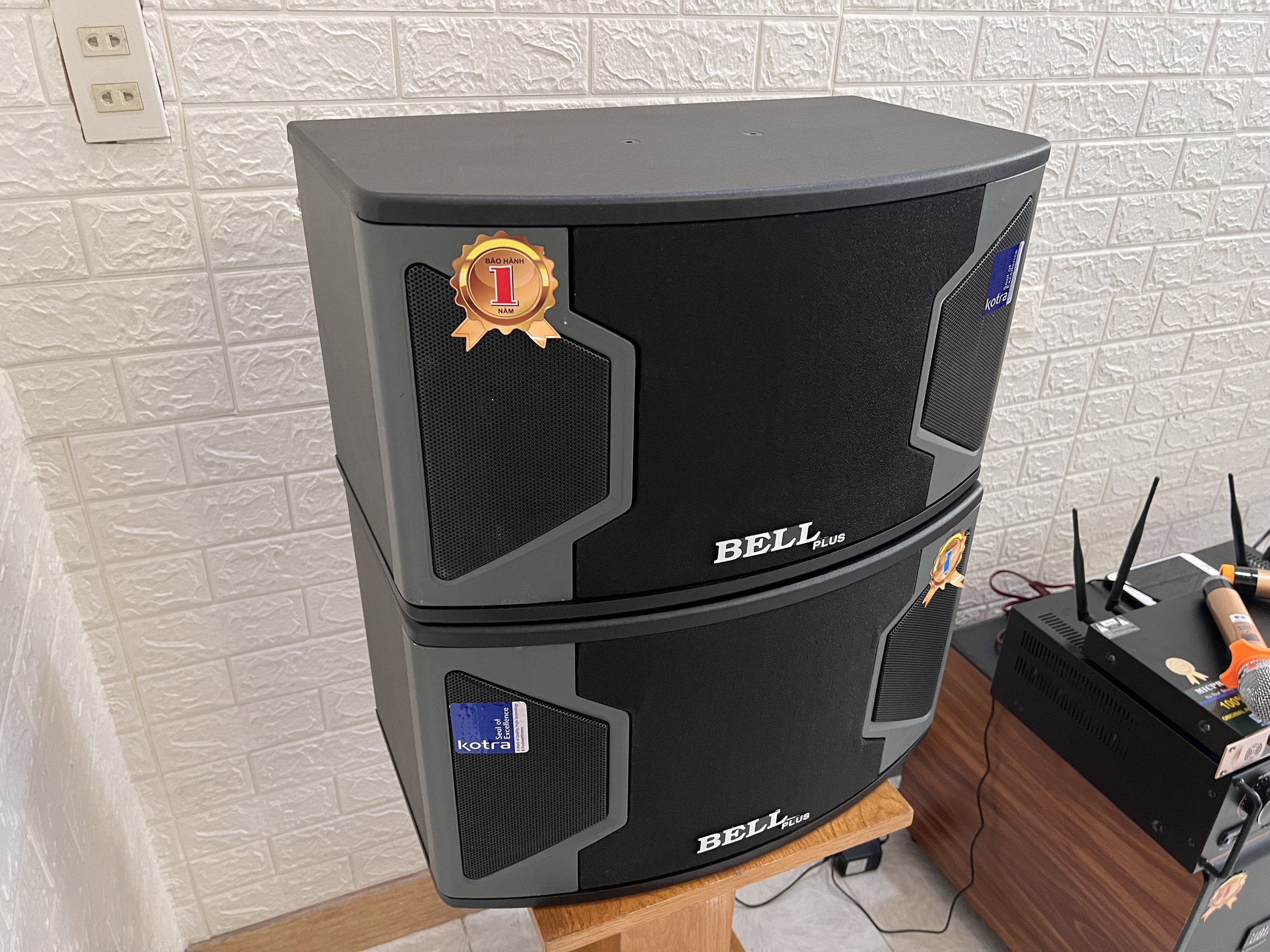 Loa karaoke KS 310
