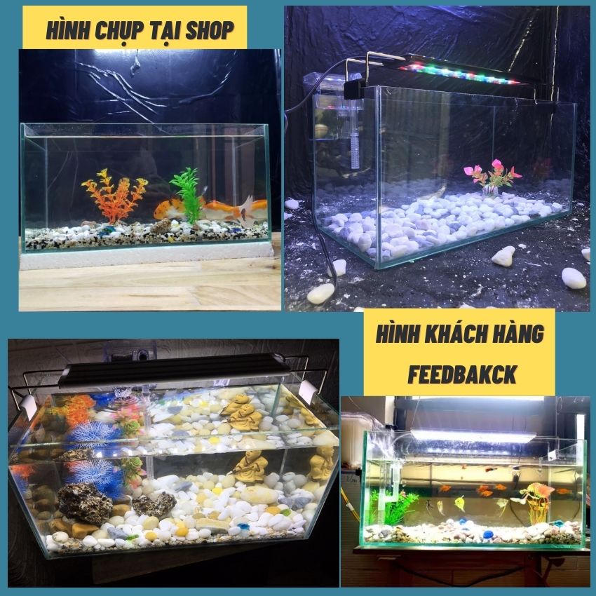 Bể cá mini 40cm COMBO đầy đủ có đèn led siêu dễ thương 3 chế độ sáng