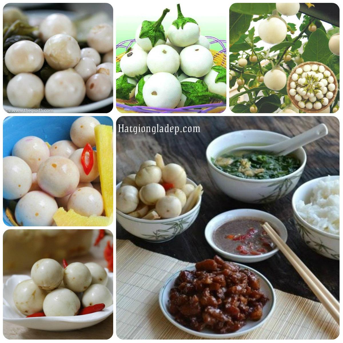 [Lấy mã giảm thêm 30%] Gói Hạt Giống Cà Pháo Trắng