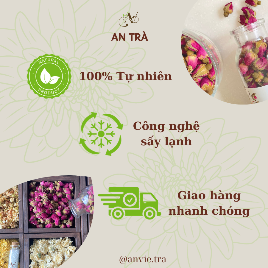 Trà Hoa Cúc Trắng Sấy Lạnh Cao Cấp