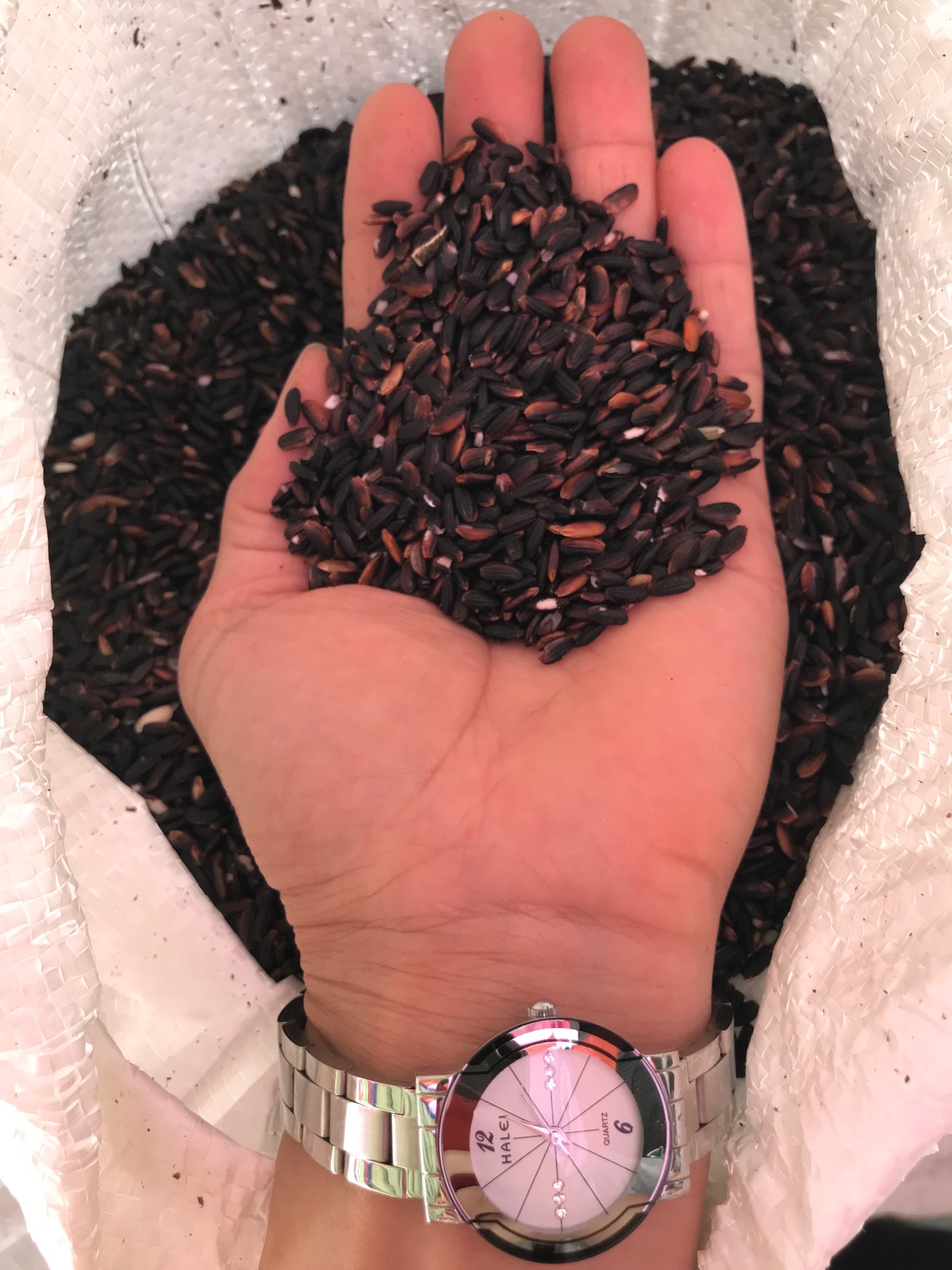 gạo cẩm nếp nương