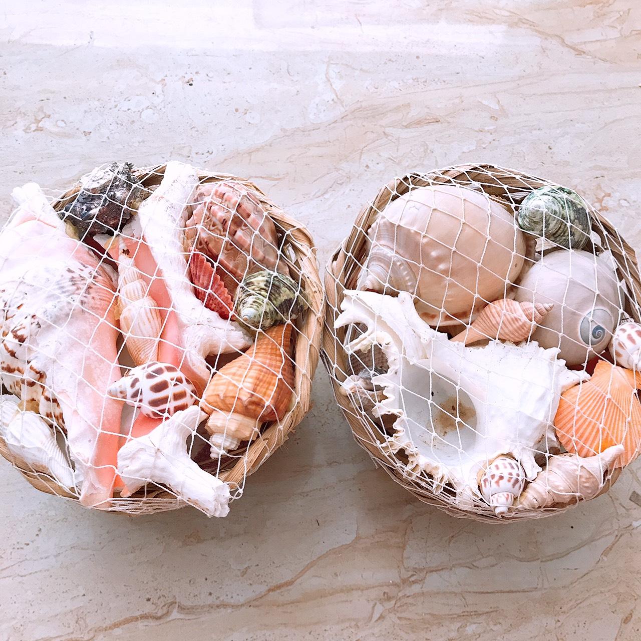 vỏ ốc vỏ sò - giỏ vỏ ốc siêu đẹp trang trí [ 1 giỏ y hình ]