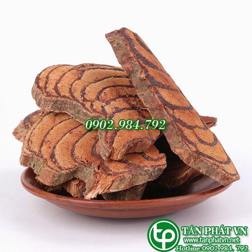 Kê huyết đằng khô 1kg - Hàng sạch xanh thơm chất lượng cao đến từ Tấn Phát