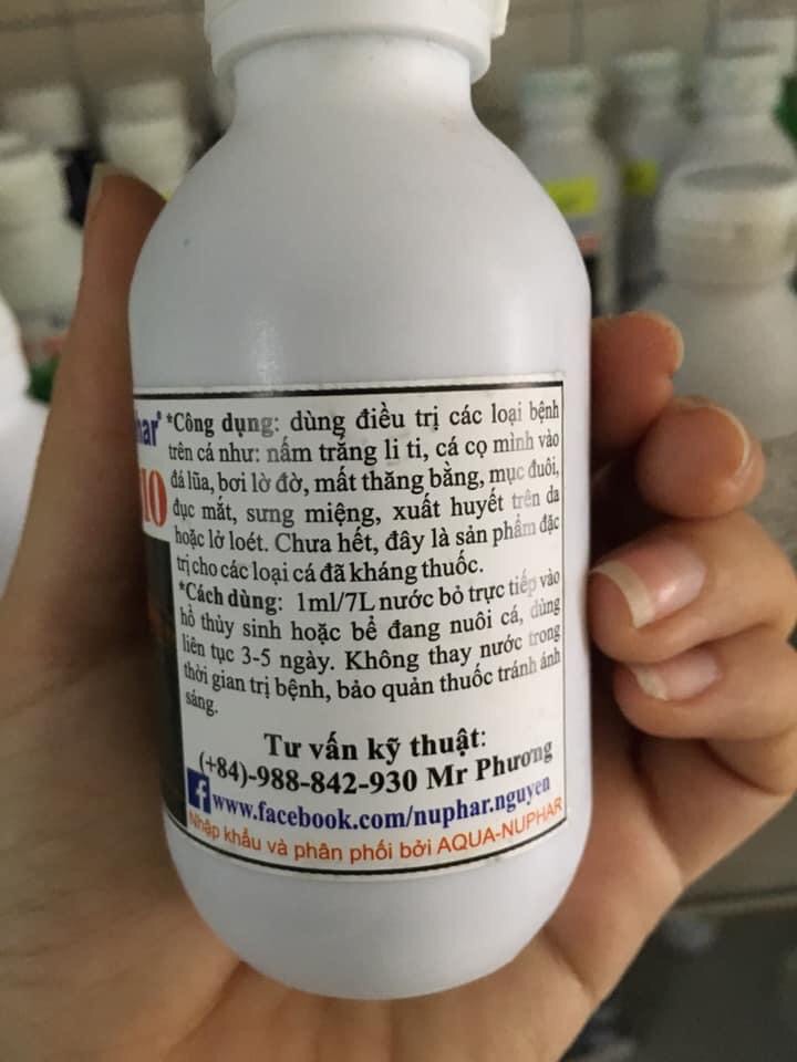 Anti-Bio làm hết nấm cho cá cảnh