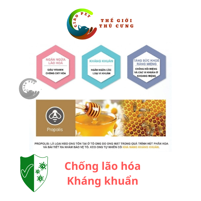 [1kg] Thức Ăn Hạt Cho Chó Dog Mania