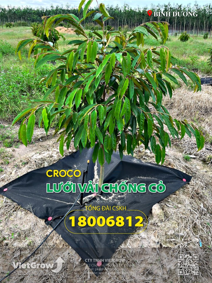 LƯỚI VẢI CHỐNG CỎ CROCO