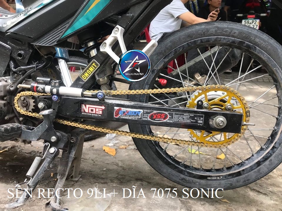 SÊN RECTO VÀNG THÁI 9LI 124M- 132M