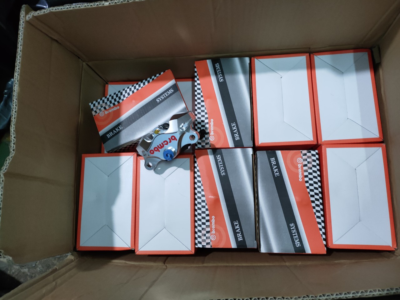 [HCM]heo brembo 2 pitton đối xứng