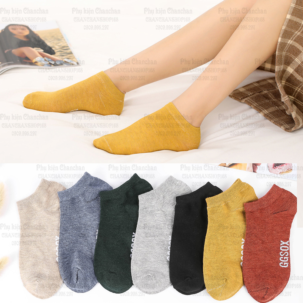 Combo 10 đôi vớ size Nữ