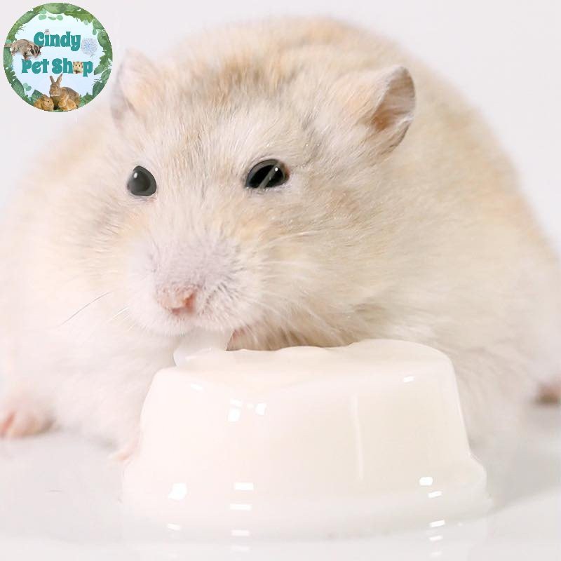 Pudding Sữa Dê Jonsanty Cho Hamster (1 viên)