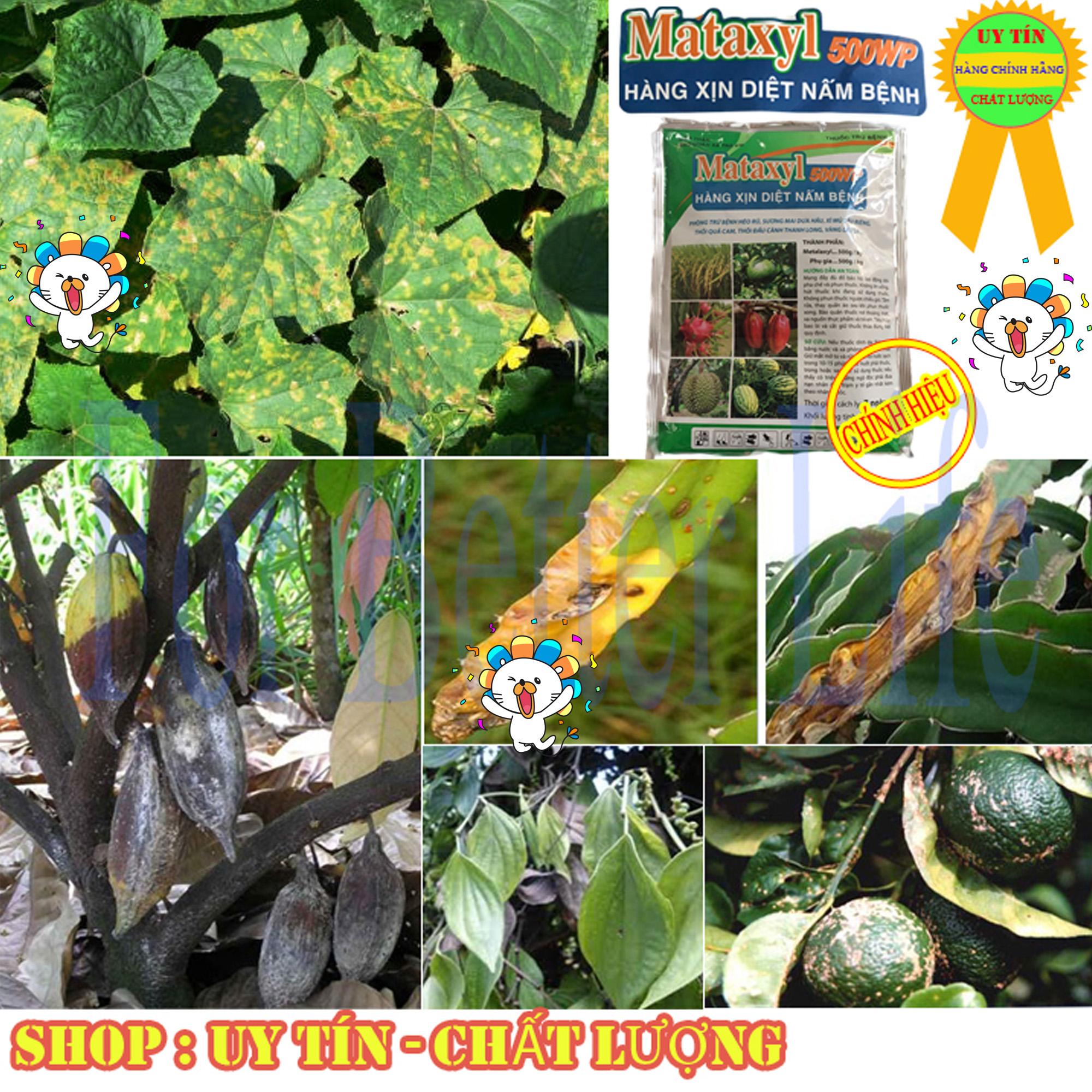 Trừ Nấm Hại nhiều loại Cây Trồng MATAXYL 500WP - Gói 100gram