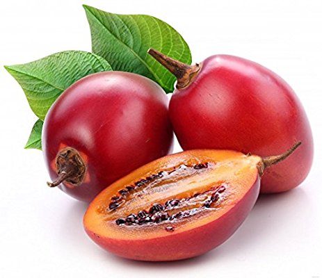 Gói 10 hạt giống Cà Chua Thân Gỗ Tamarillo Đỏ