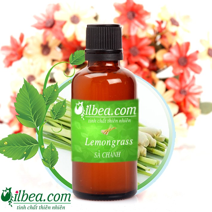 Tinh dầu sả chanh ấn độ 100ml