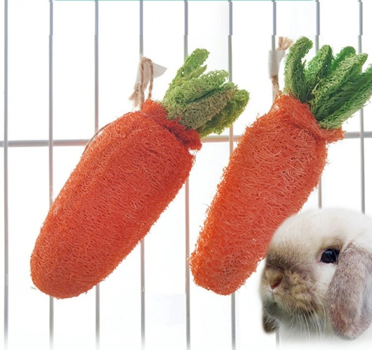 Cà rốt xơ mướp mài răng cho thỏ,hamster, bọ, sóc,... - T3 PETS SHOP
