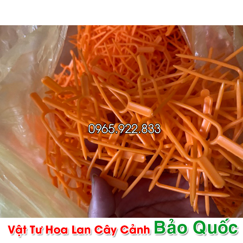 Ghim cố định Kie (5 chiếc) cho Hoa Lan