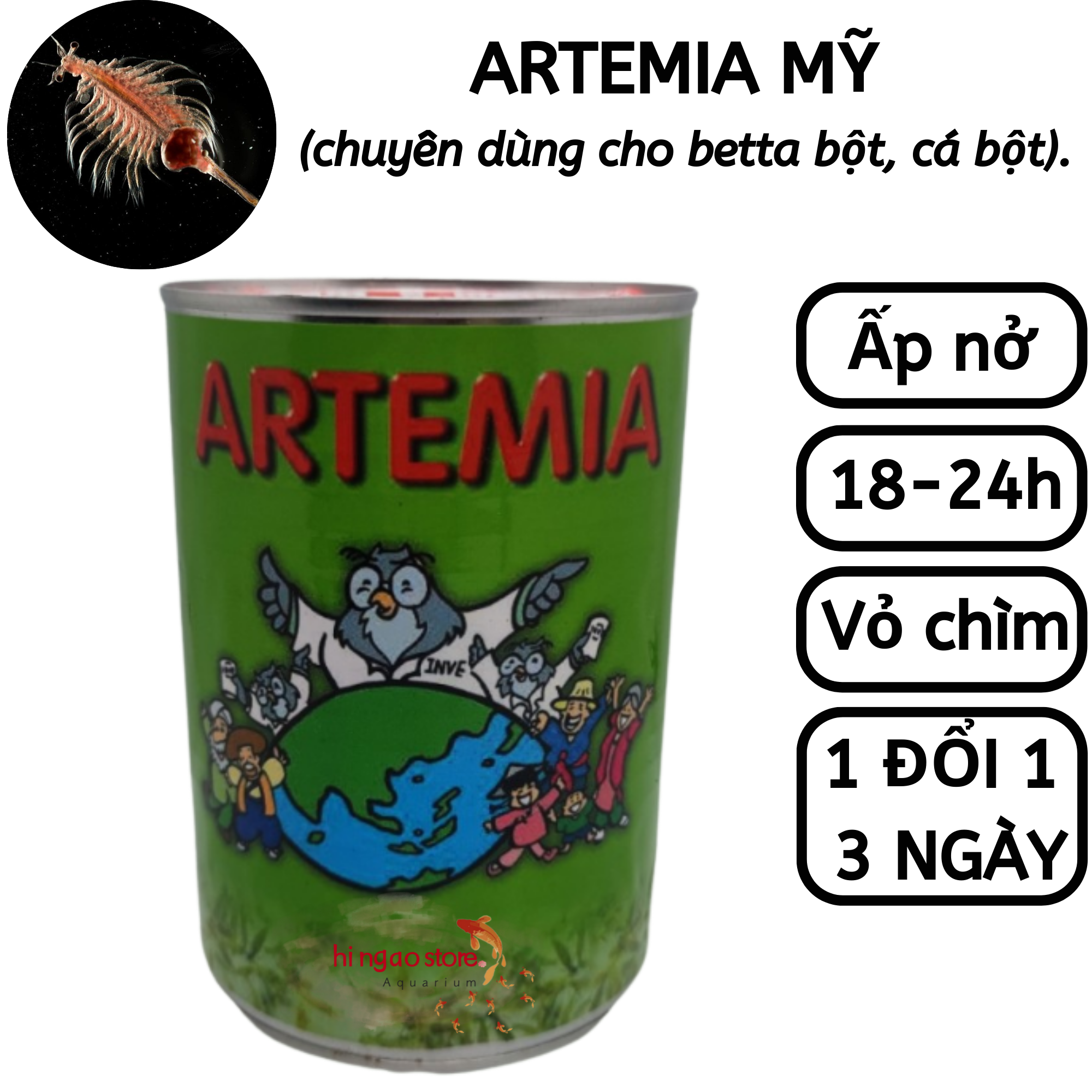 Eggs Artemia American aspect ratio high hatching (potentiometer retail)-feed Betta fish powder, fish powder | hingaostore.