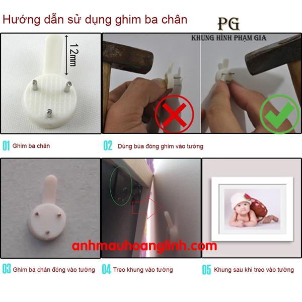 khung ảnh/ bằng khen  cỡ 20 x30