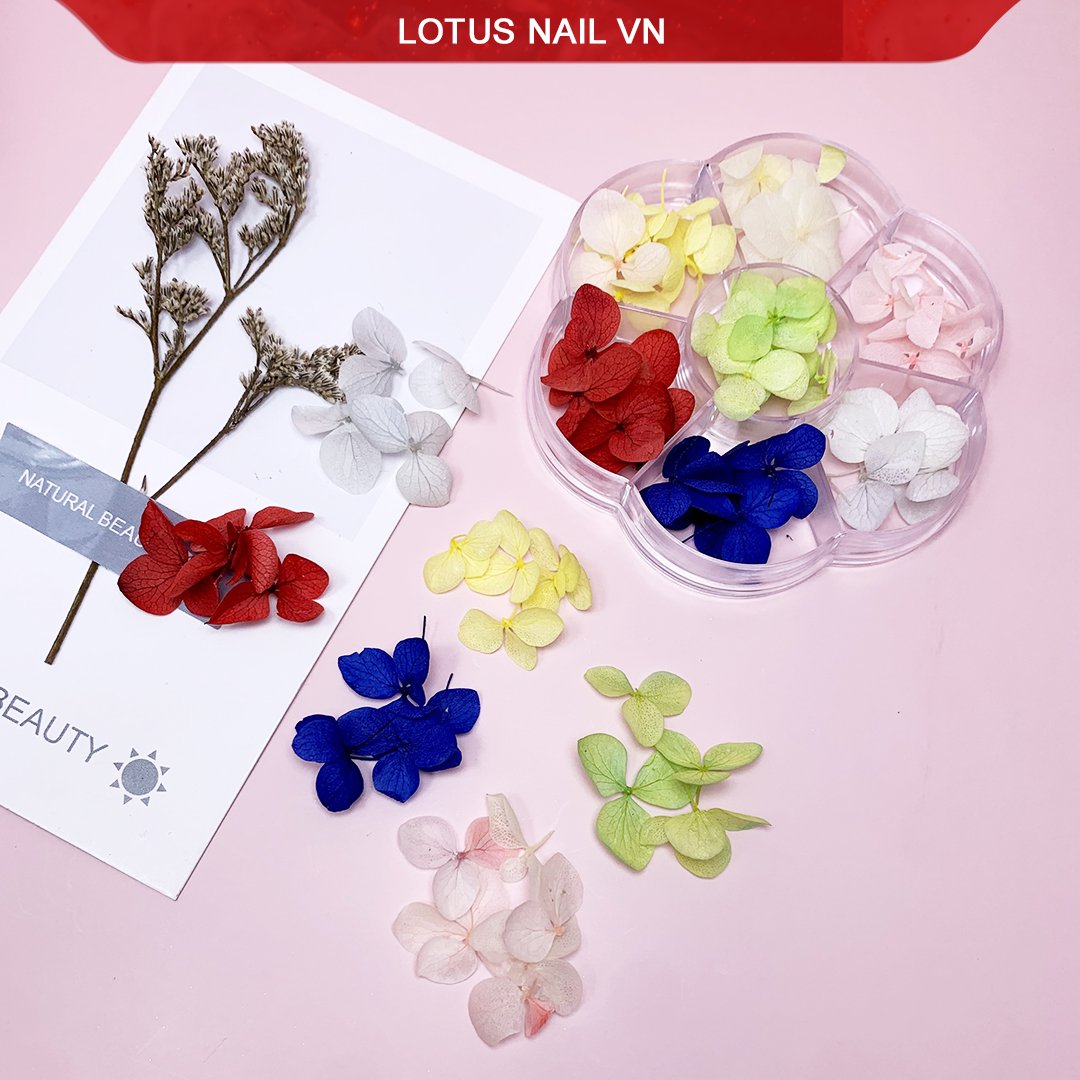 Hoa khô nail, hoa khô lụa tú cầu trang trí móng khay 7 màu