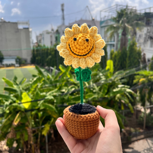 Chậu hoa hướng dương mặt cười