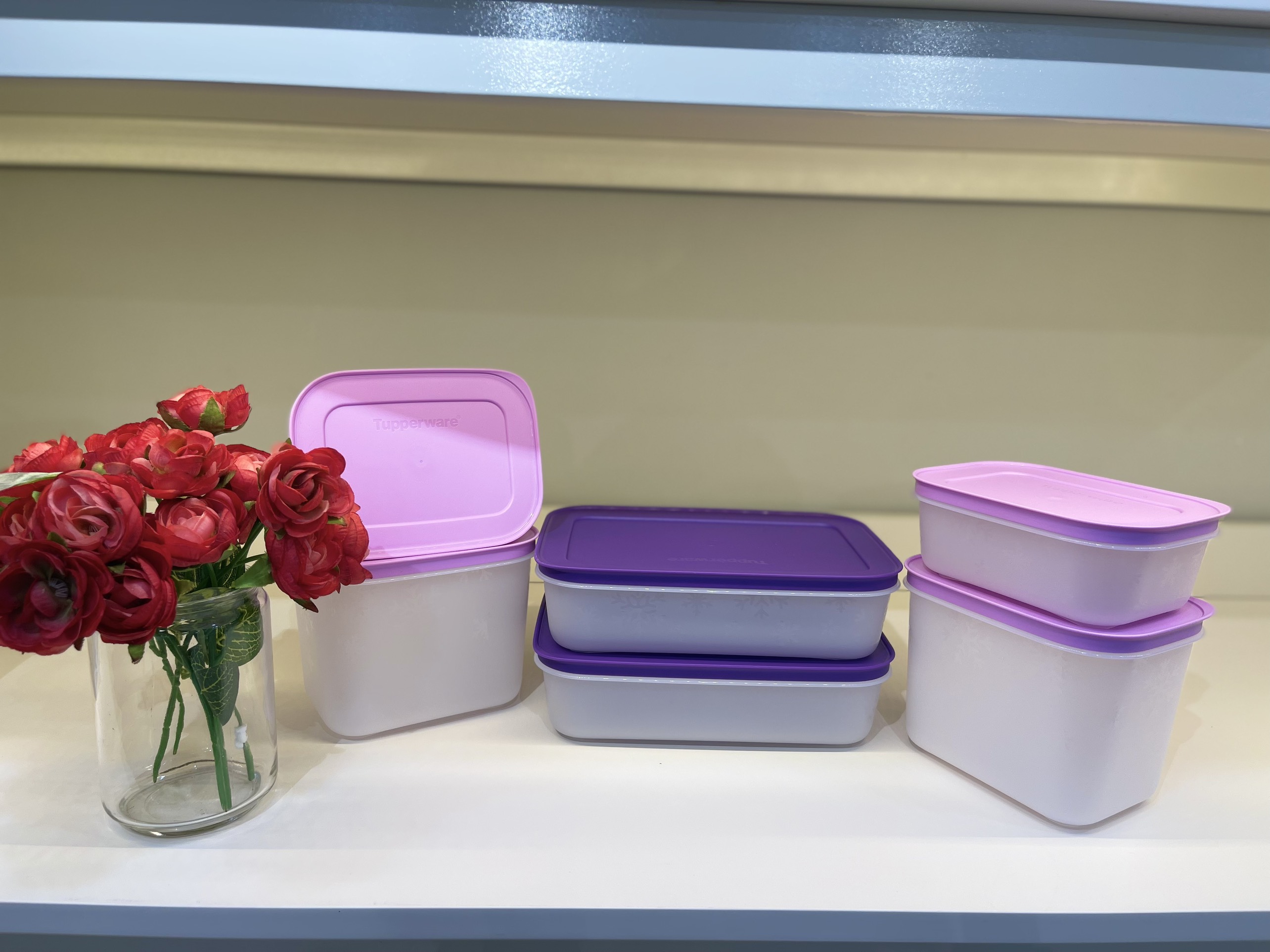 Bộ hộp trữ đông Violet (Set 6)