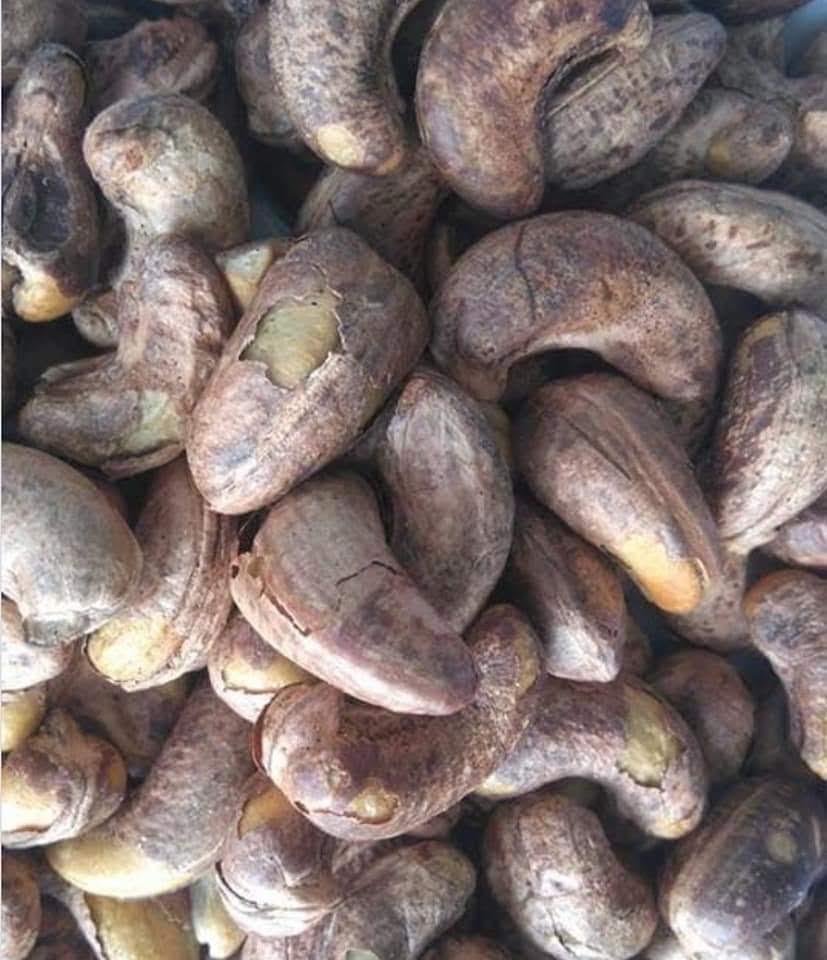Túi 500gr Hạt điều nguyên vỏ lụa rang muối cao cấp