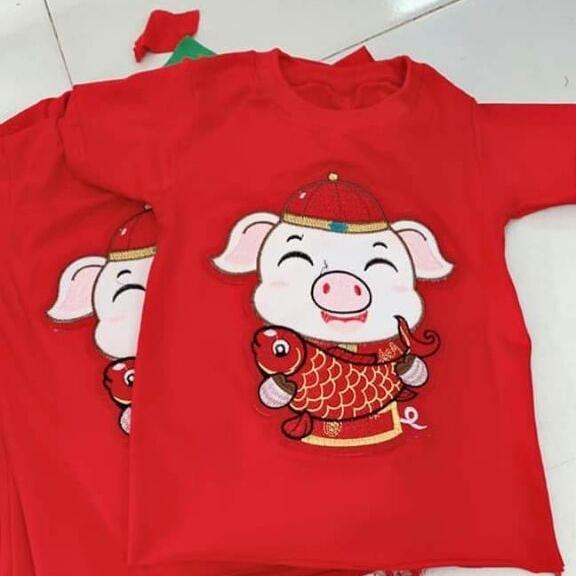 [HCM]set áo heo thần tài cho bé cotton 4c