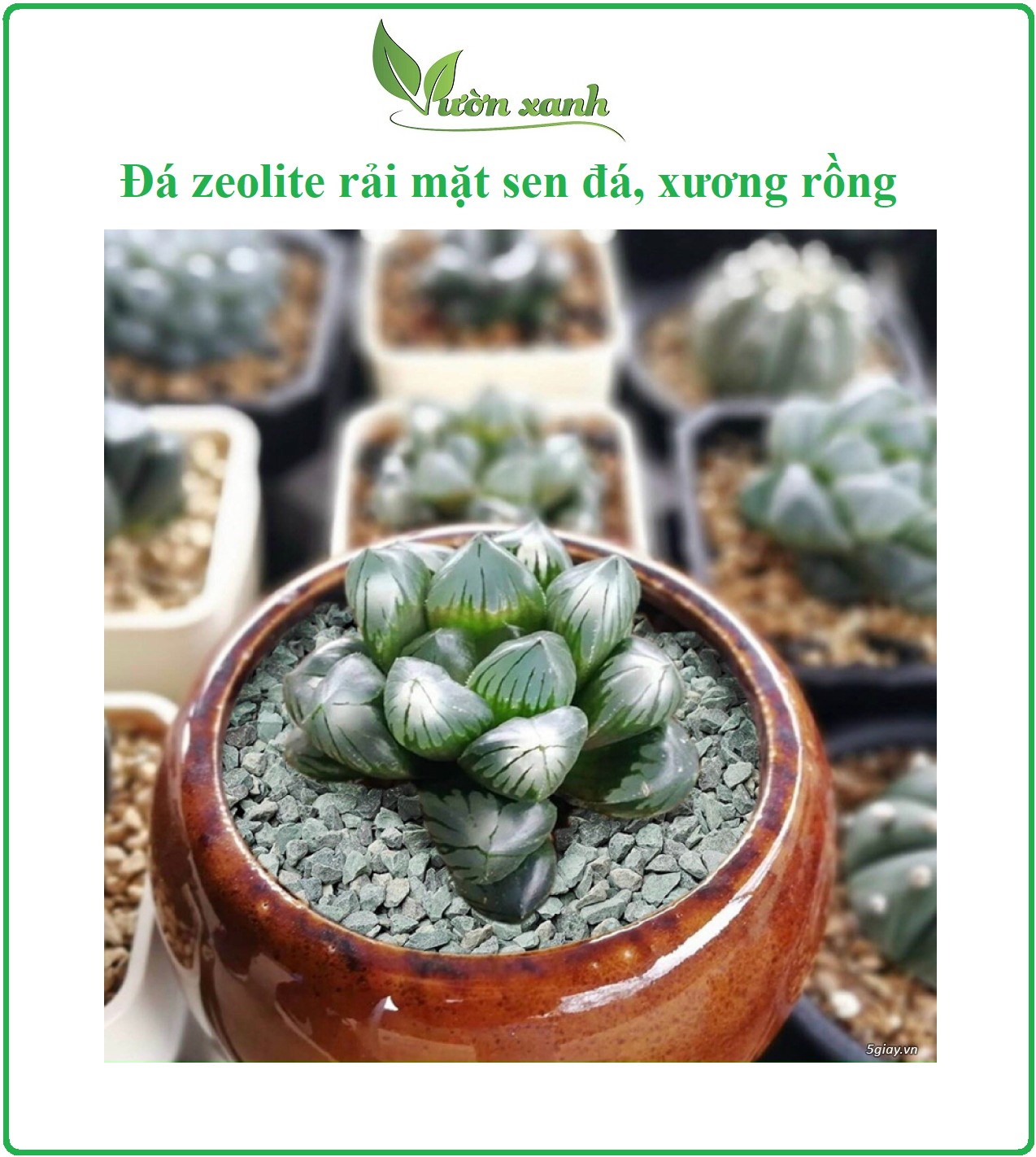 500gr Zeolite stone for plants, keep water,...