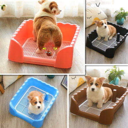 🐾 🐶 khay vệ sinh chó hướng dẫn vệ sinh thành cao cho chó đúng cách tặng kèm cột 🐾 🐶