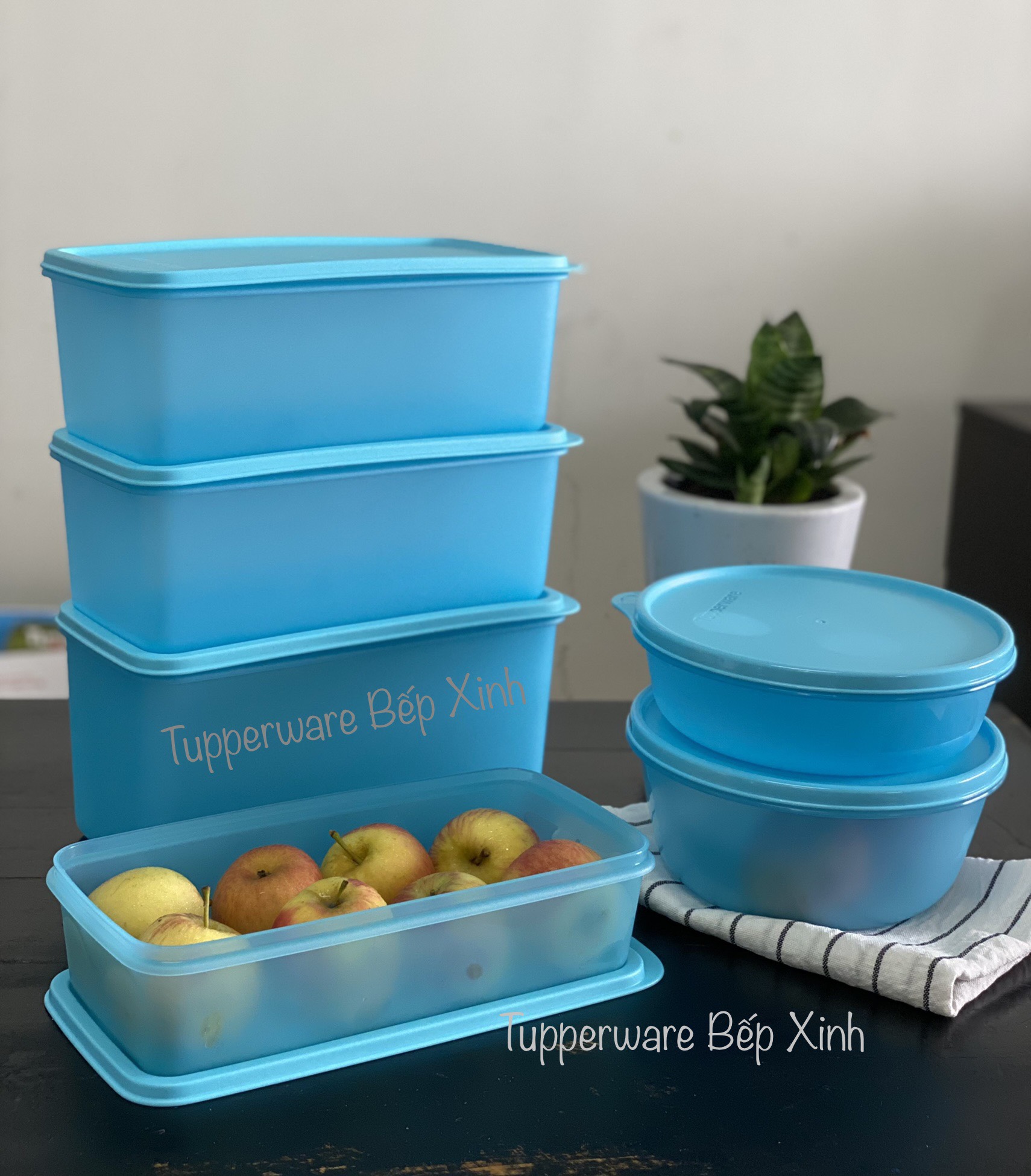 Bộ hộp trữ mát  chính hãng Tupperware