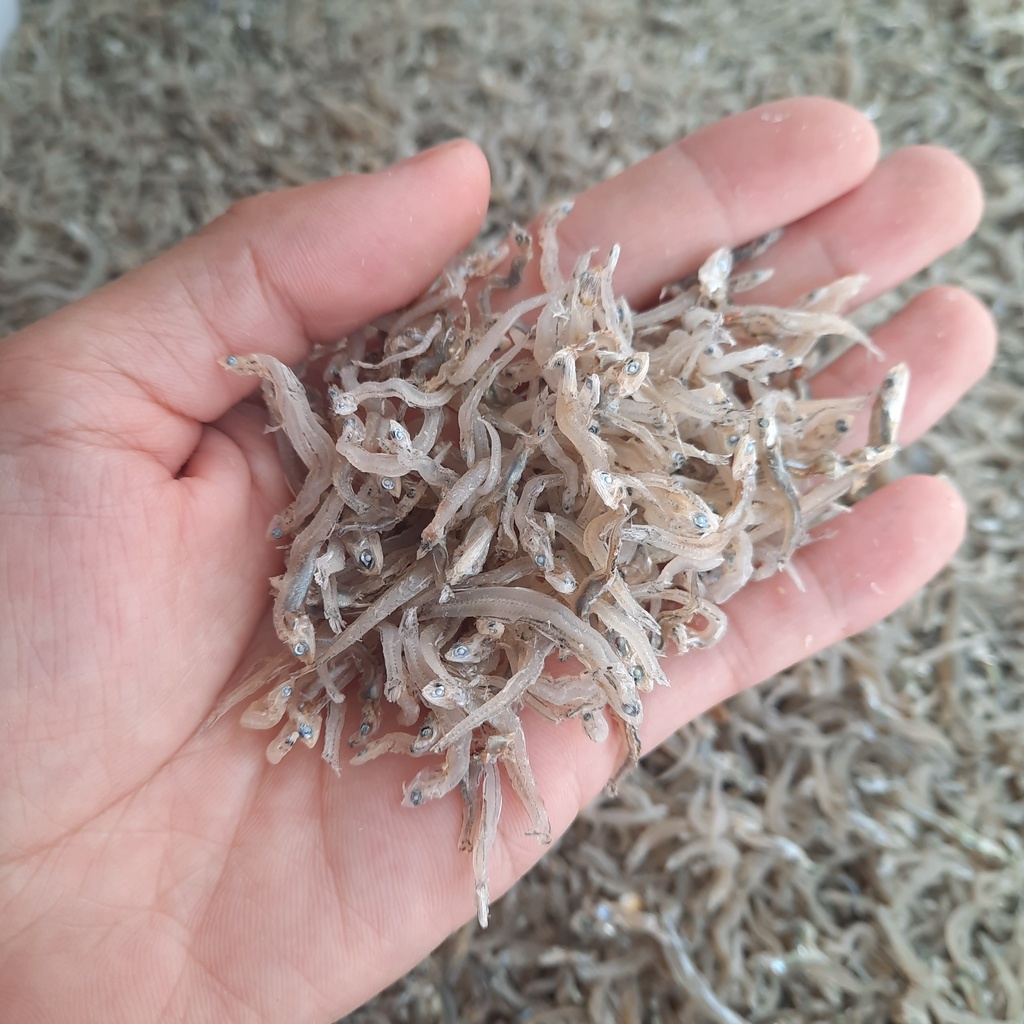 Cá Cơm Mờm Sữa Trắng 1kg - Khô Cá Cơm Đặc Sản Nha Trang