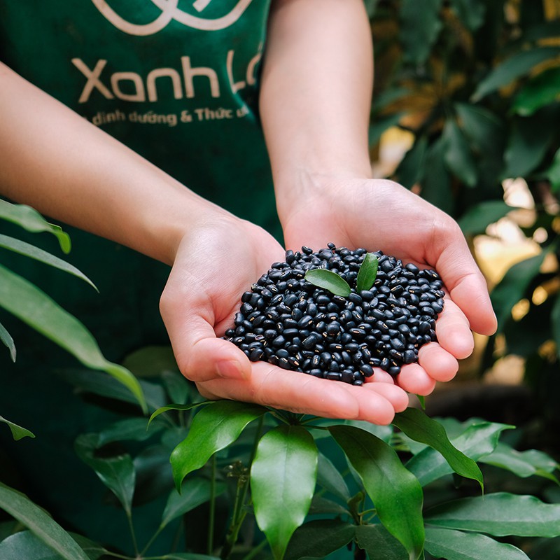 HCM Hạt đậu đen (đỗ đen xanh lòng) hạt nhỏ Túi 1kg