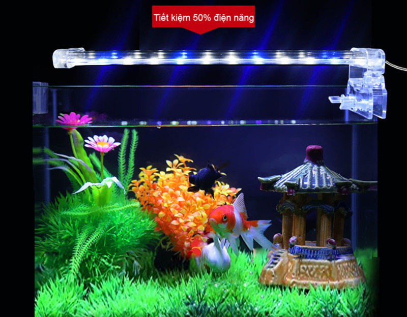 Đèn trang trí, Đèn led trang trí, Đèn led lắp cho bể cá LED D30 - Ánh sáng đẹp, Chất liệu trong suốt, bền bỉ, Nhỏ gọn dễ dàng sử dụng-Chất lượng chính hãng, Mua ngay